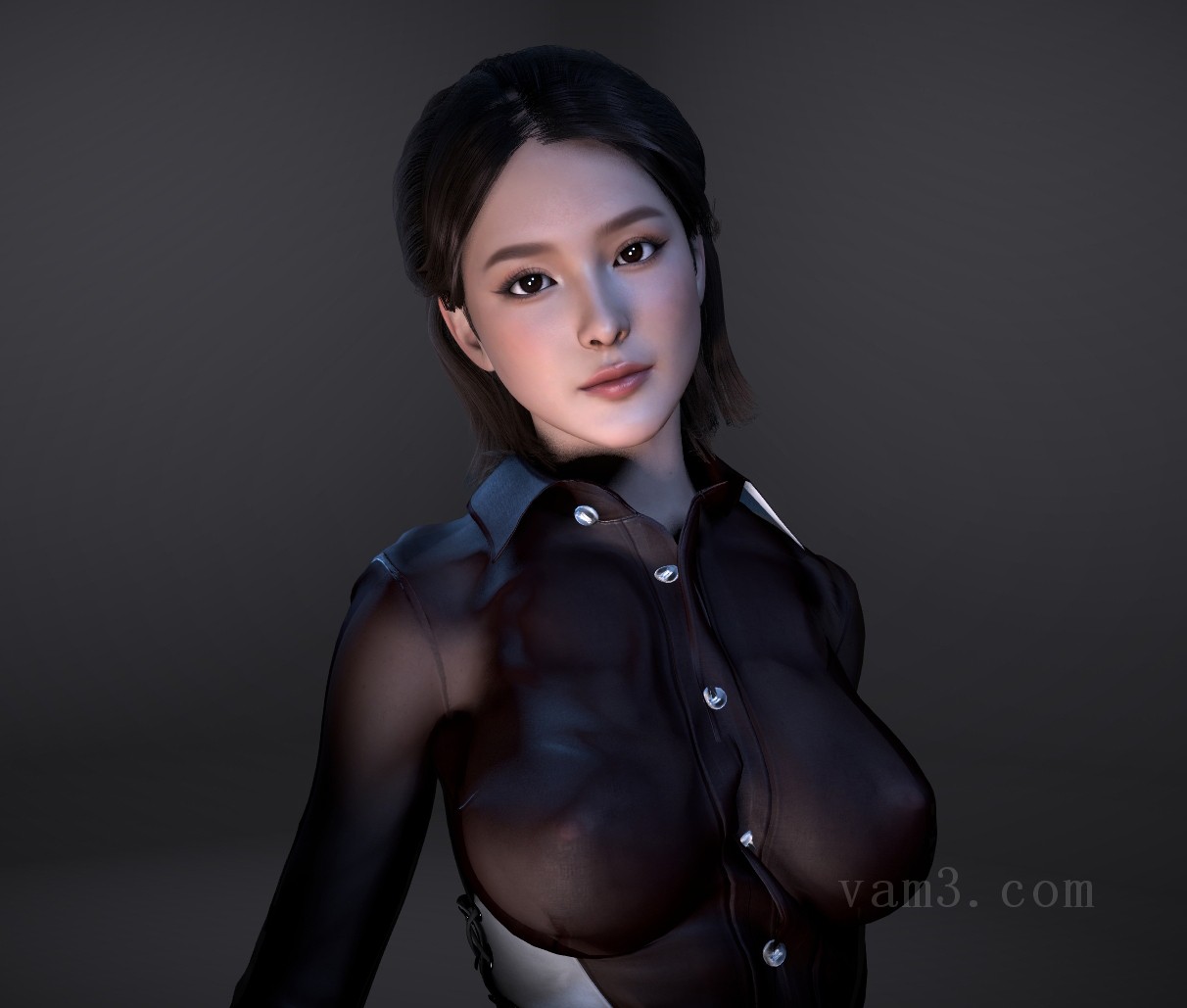 VAM模型-Vr_Addict.Daioke