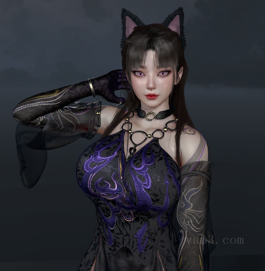 VAM模型-LIII.yulinglong