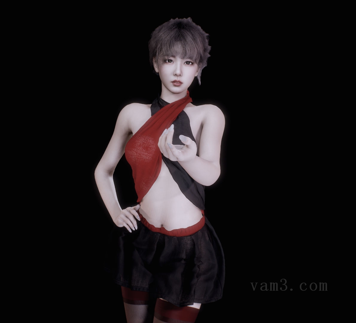 VAM模型-Dmoold.GG