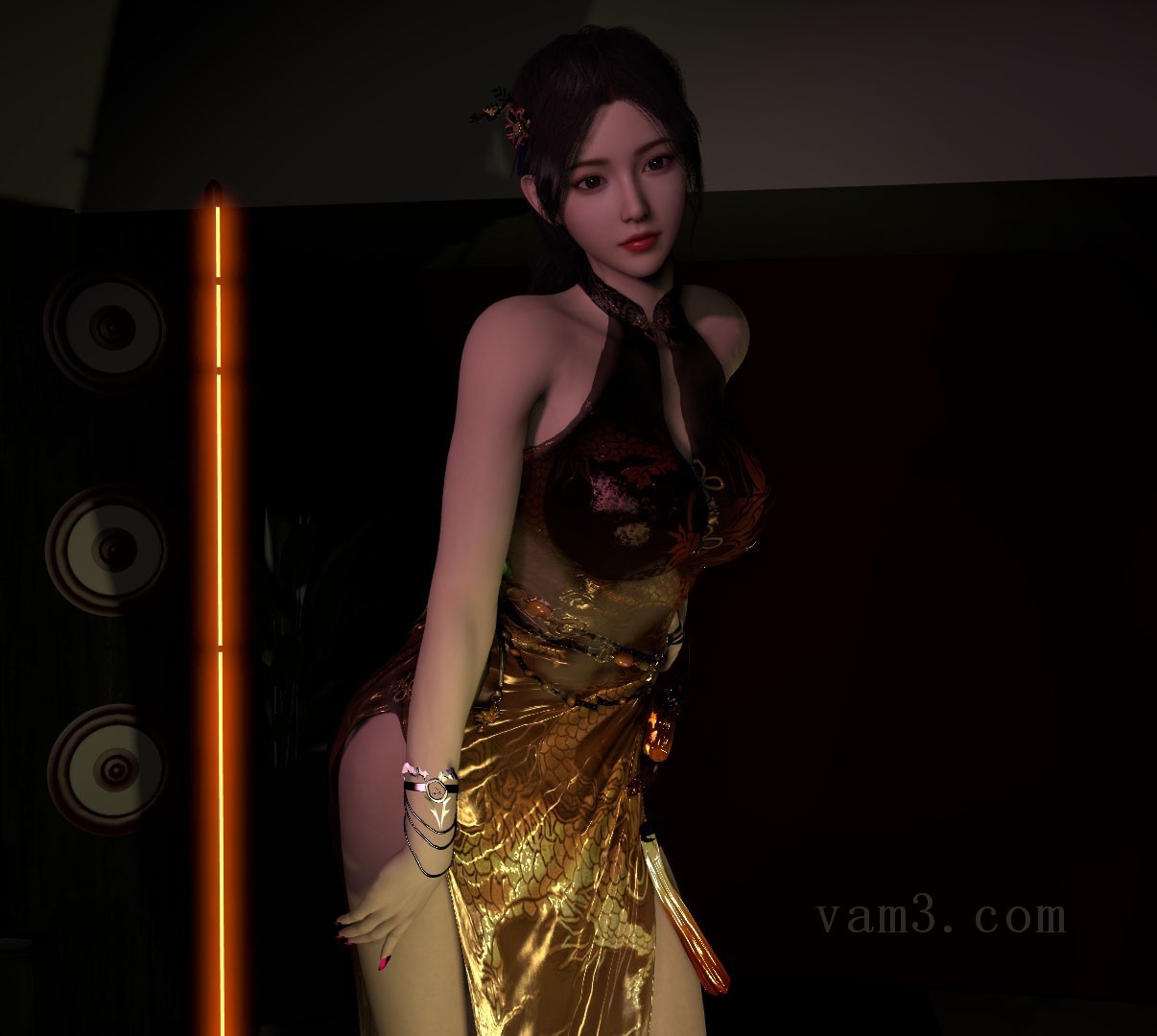 VAM模型-Ruiny.飞燕