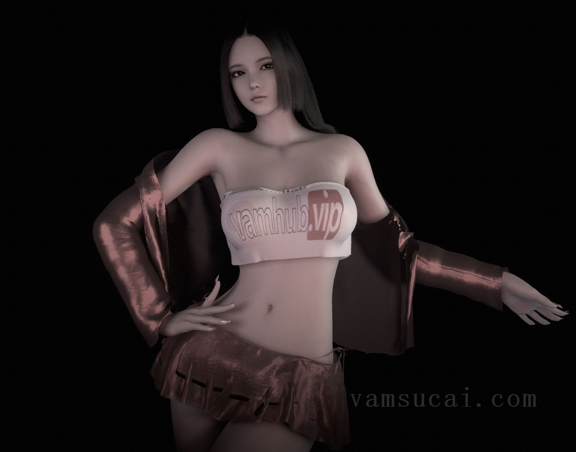 VAM模型-Dmoold.HubModel