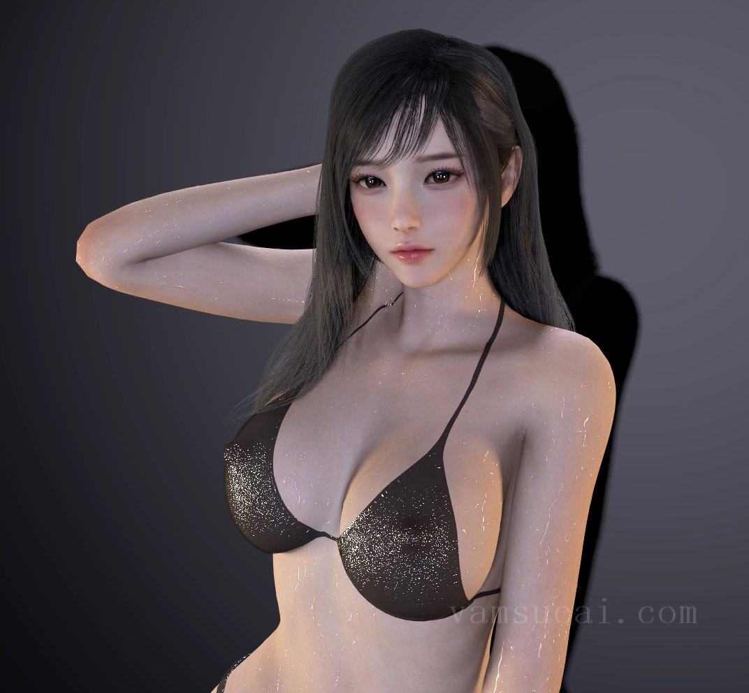 VAM模型-ShaoB.黑嘉3.0