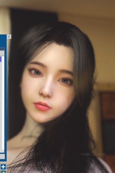 VAM模型-Wick.jie